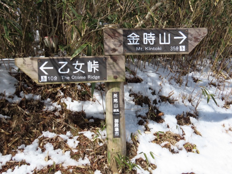 糸の会・金時山