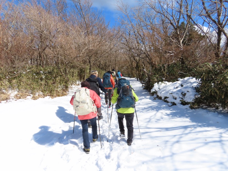糸の会・金時山