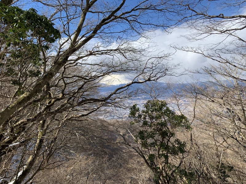 糸の会・金時山