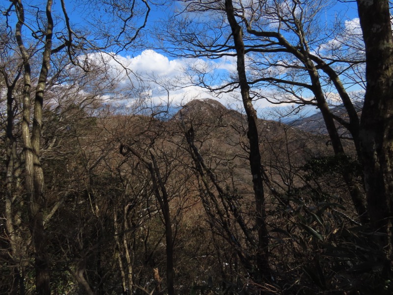 糸の会・金時山