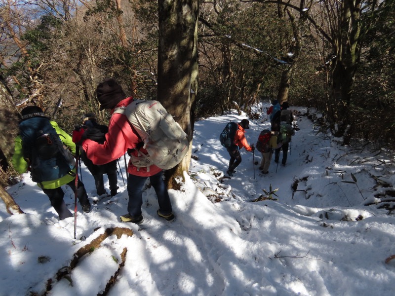 糸の会・金時山