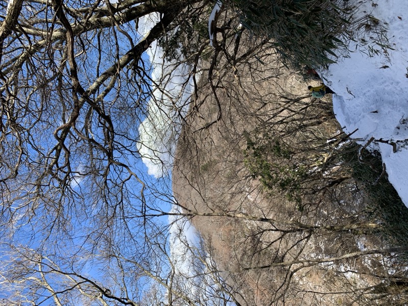 糸の会・金時山