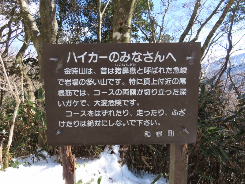 糸の会・金時山