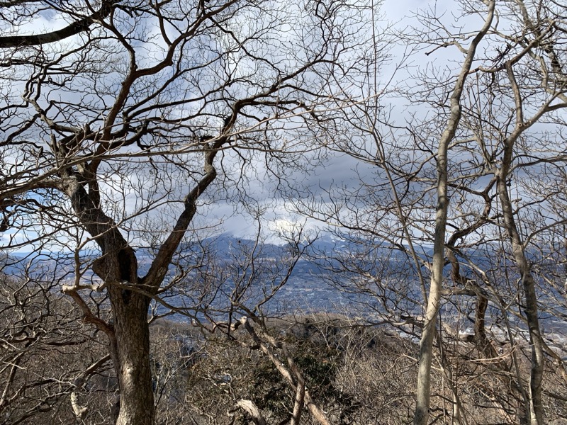糸の会・金時山