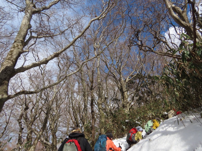 糸の会・金時山