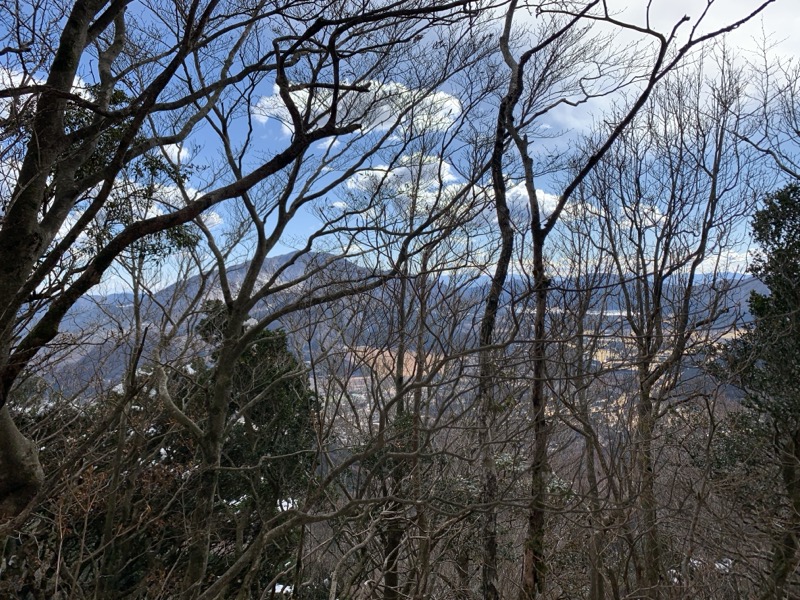 糸の会・金時山