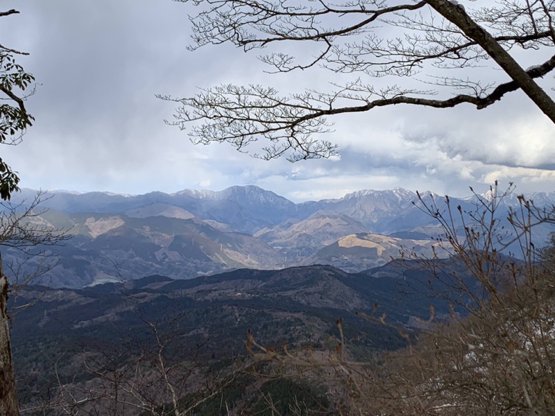 糸の会・金時山