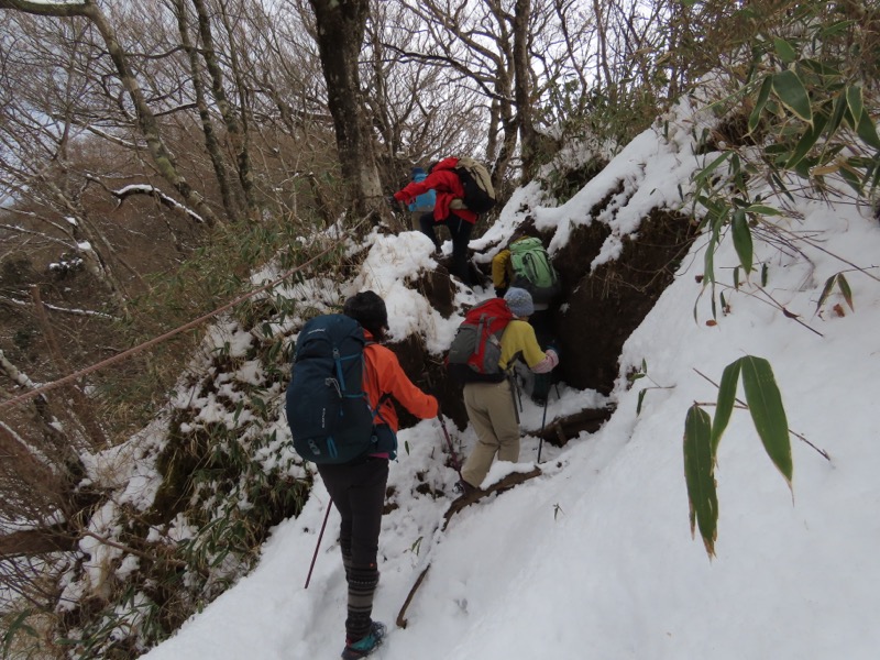 糸の会・金時山