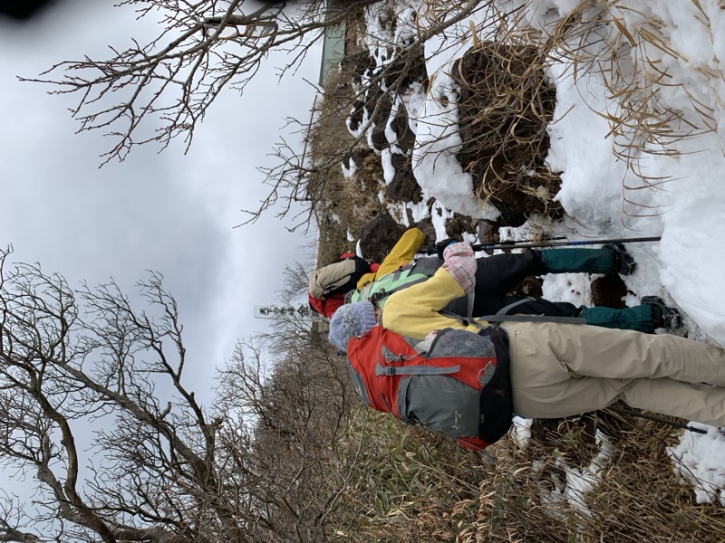 糸の会・金時山