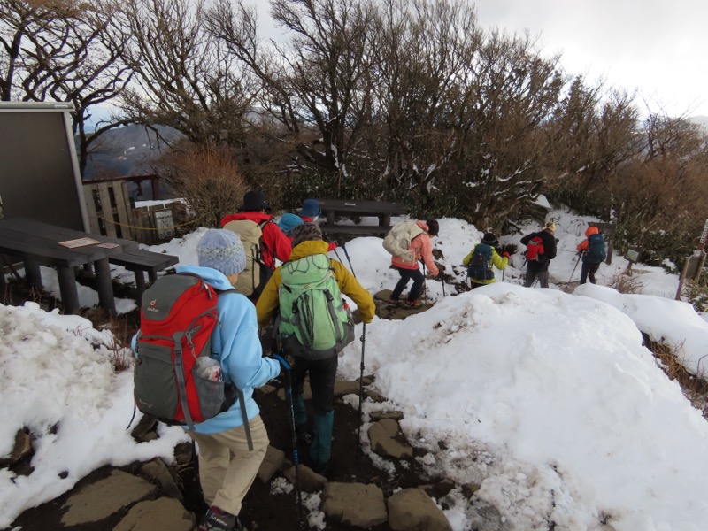 糸の会・金時山