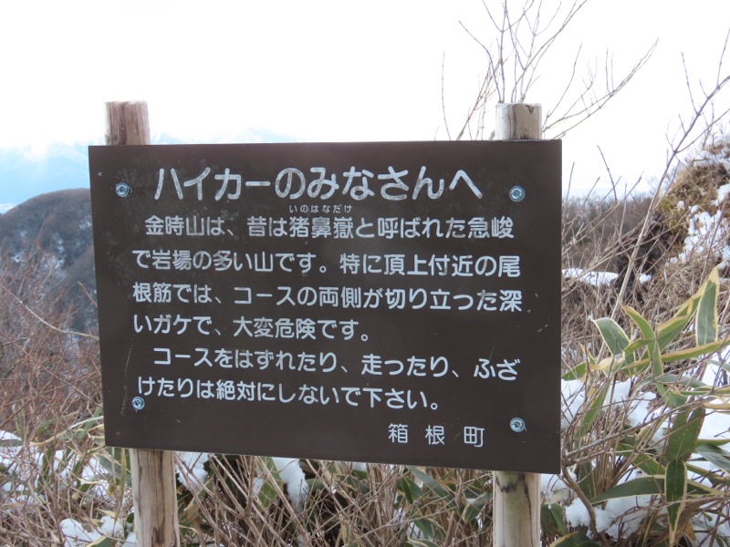 糸の会・金時山