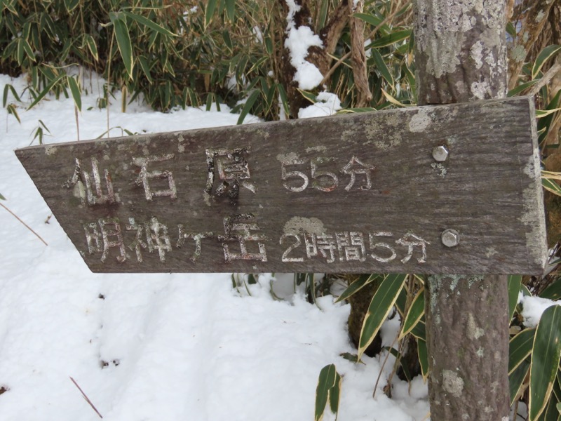 糸の会・金時山