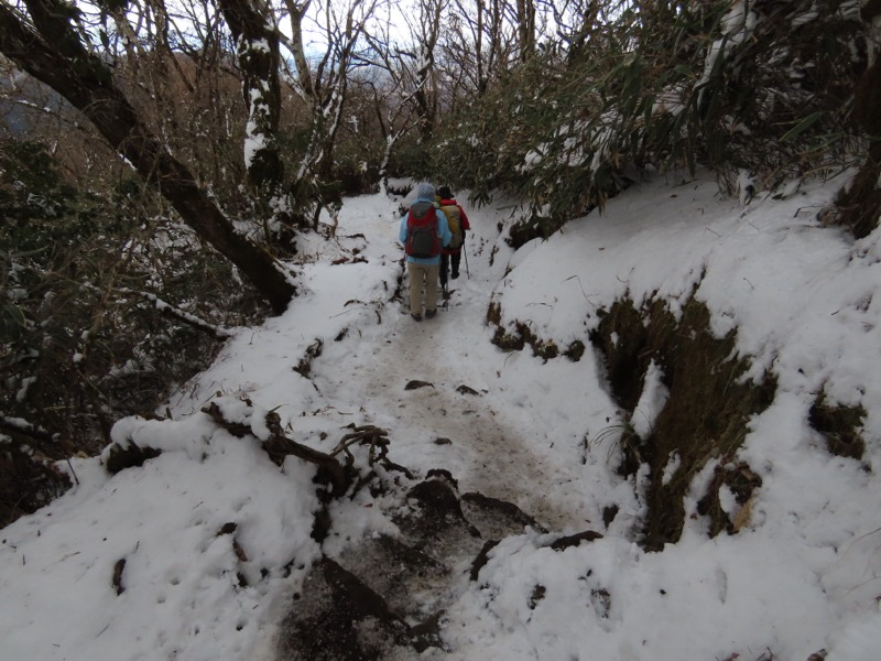 糸の会・金時山