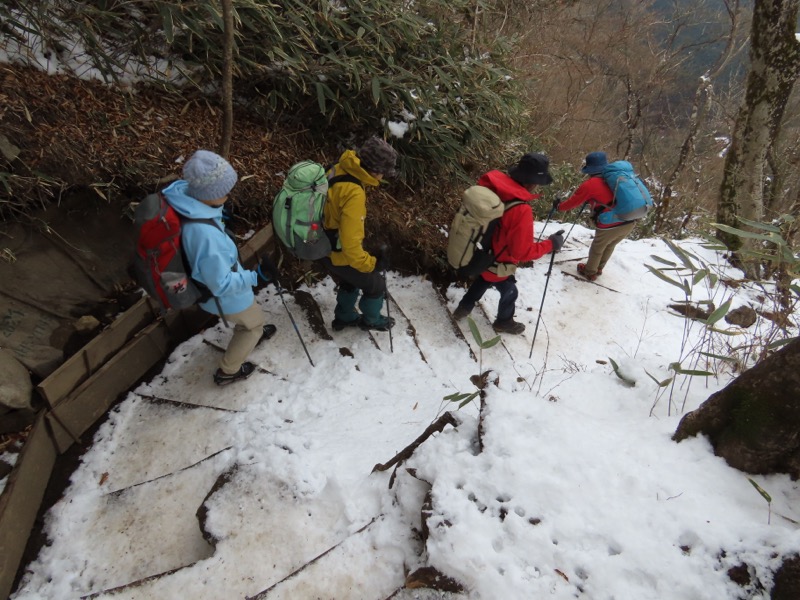 糸の会・金時山