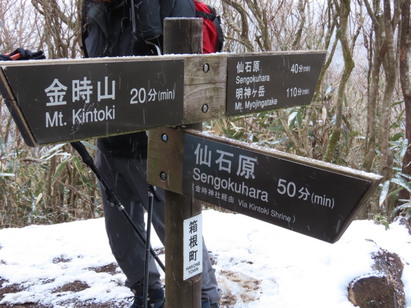糸の会・金時山