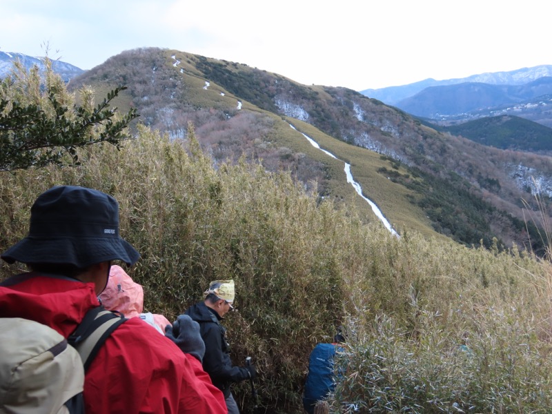 糸の会・金時山