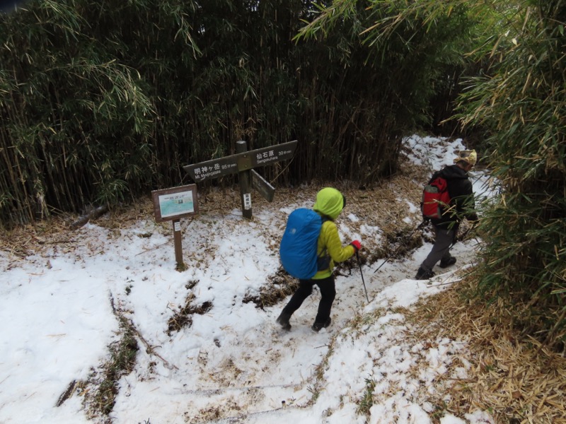 糸の会・金時山