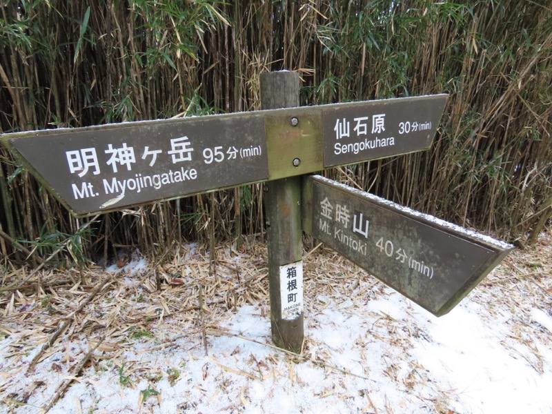 糸の会・金時山