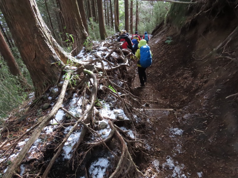 糸の会・金時山