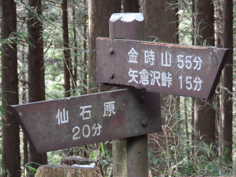 糸の会・金時山