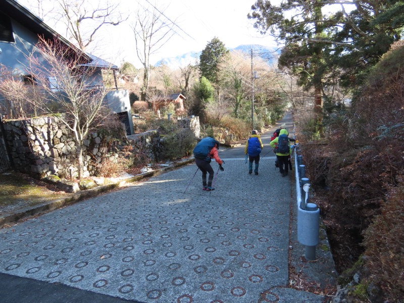 糸の会・金時山