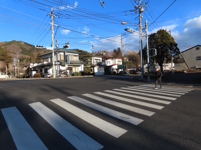 糸の会・金時山