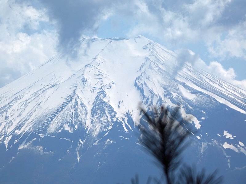 倉見山、富士山