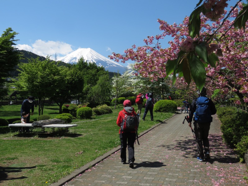 倉見山、桂川公園、富士山