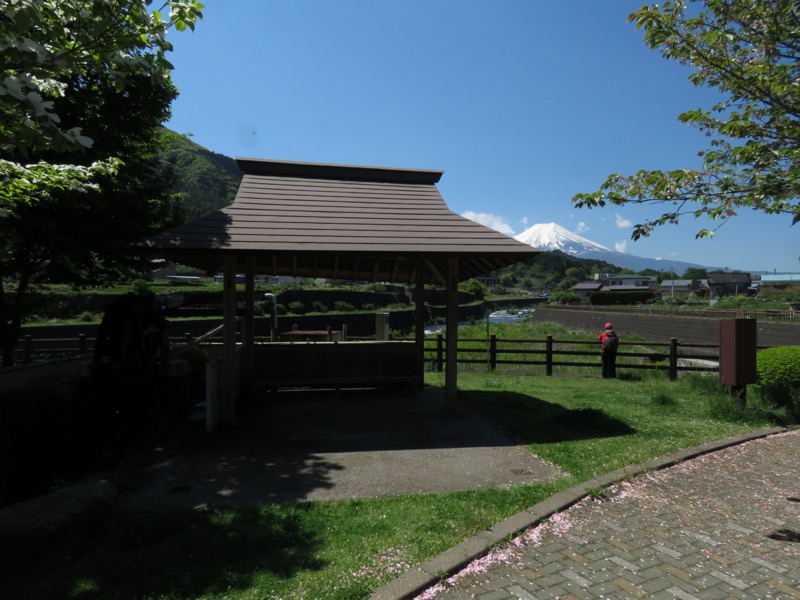 倉見山、富士山