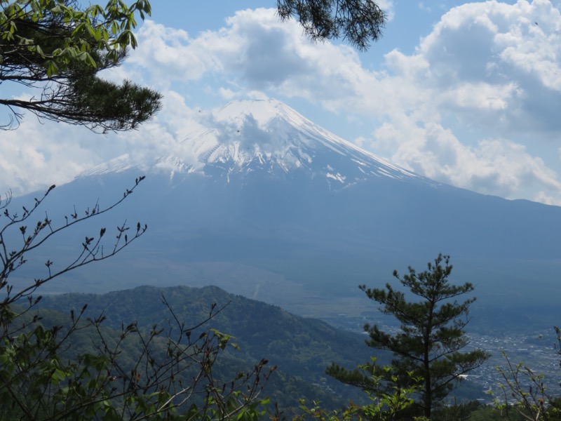 倉見山、富士山