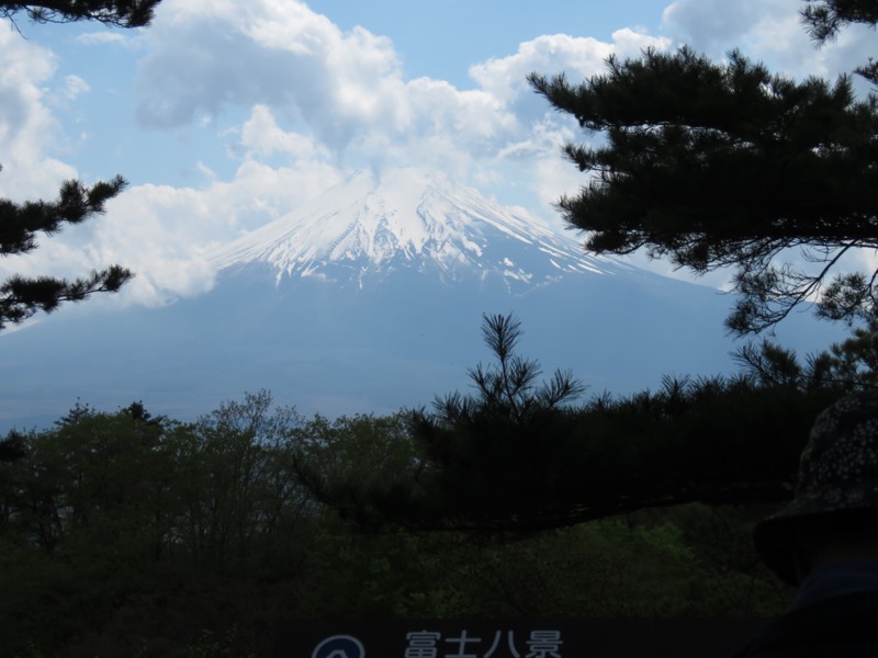 倉見山、富士山