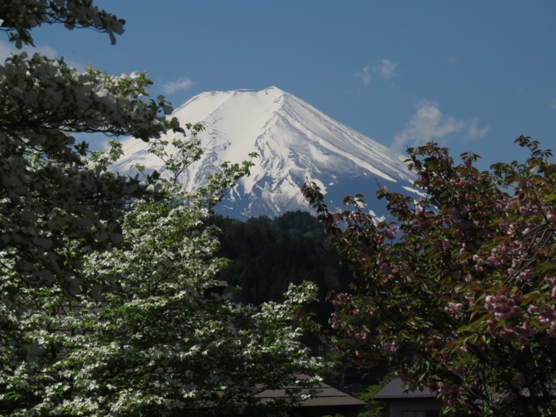 倉見山、桂川公園、富士山