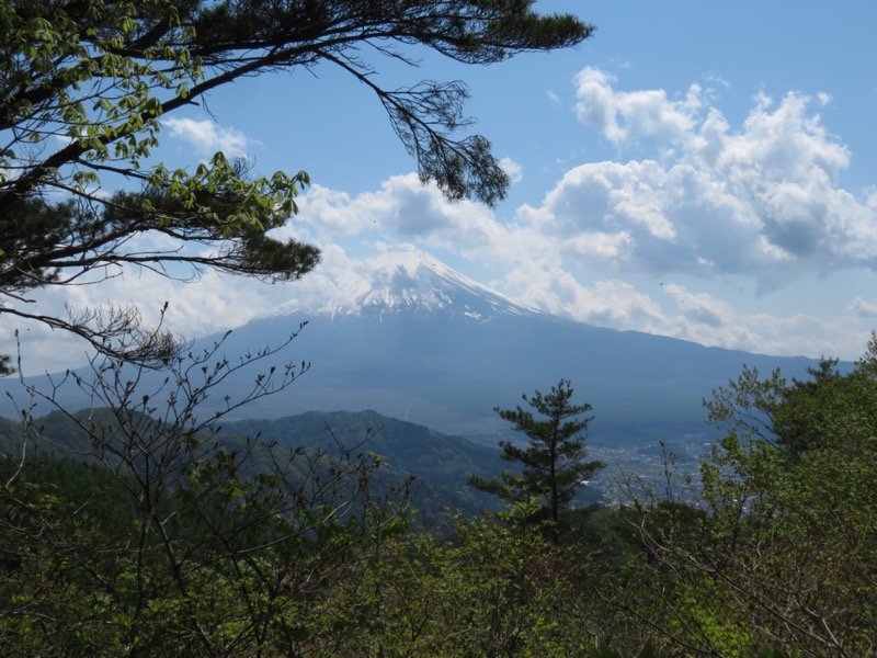 倉見山、富士山