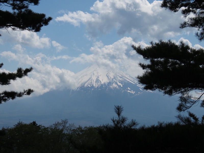 倉見山、富士山