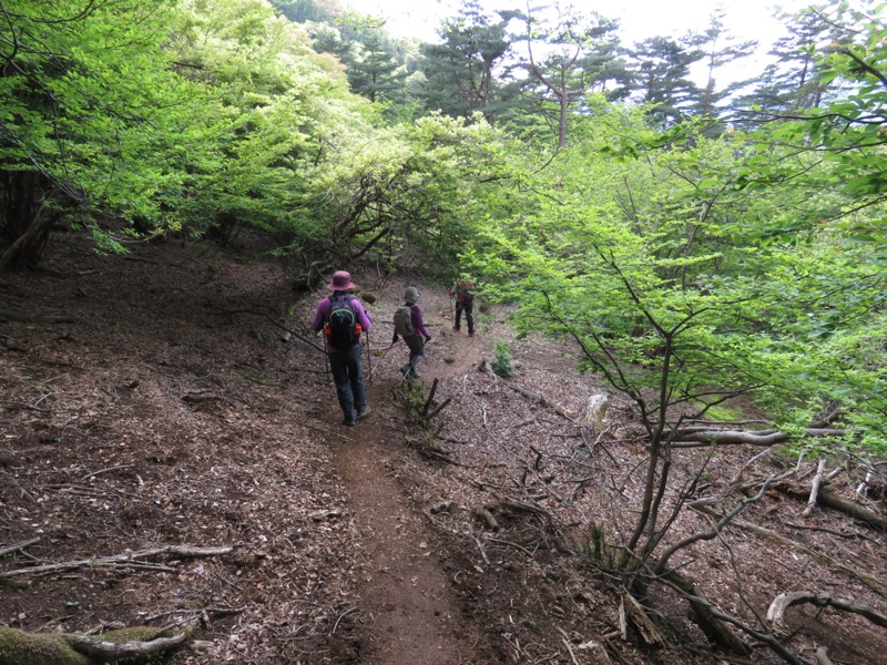 倉見山