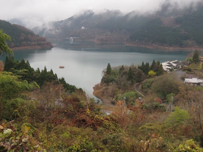 桜山、冬桜、モミジ、サザンカ、ツバキ