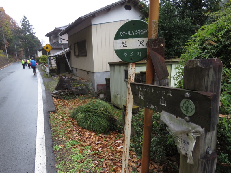 桜山、冬桜、モミジ、サザンカ、ツバキ