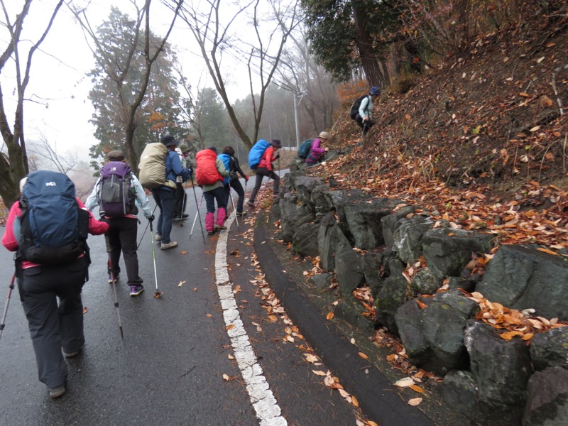 桜山、冬桜、モミジ、サザンカ、ツバキ