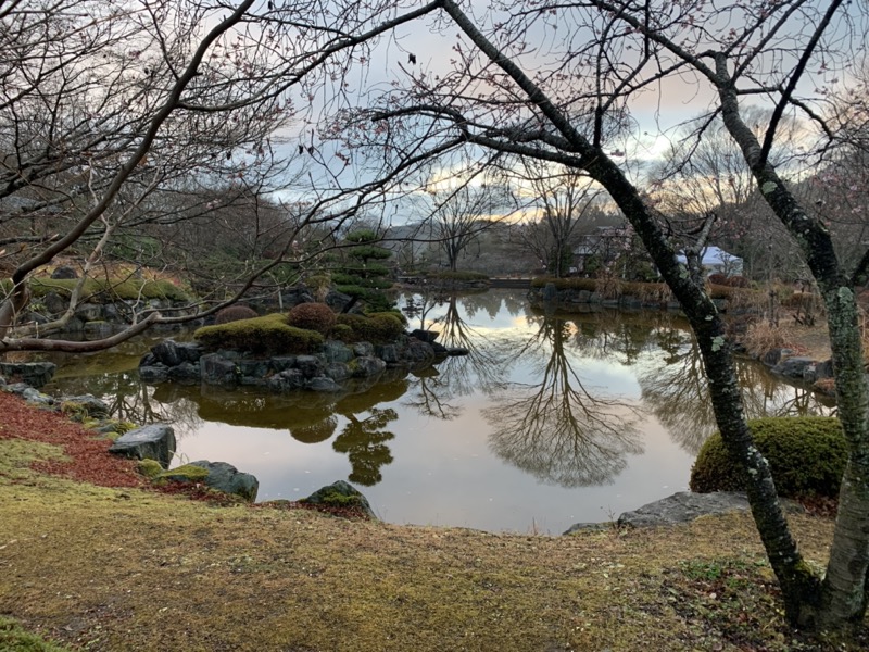 桜山、冬桜、モミジ、サザンカ、ツバキ