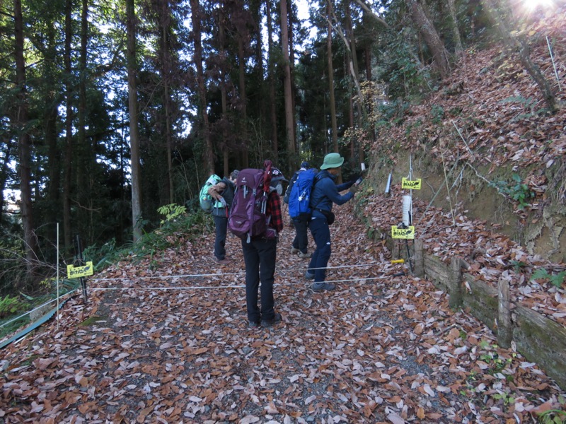 戸倉・城山