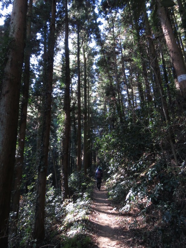 戸倉・城山