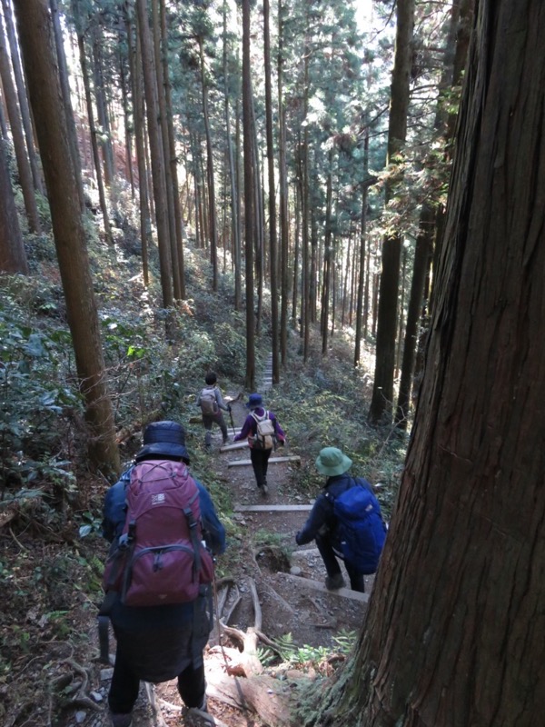 戸倉・城山