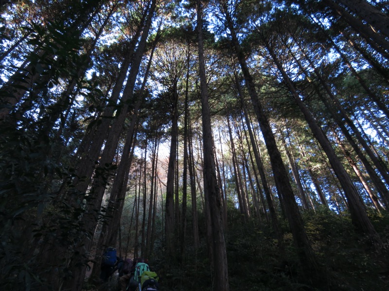 戸倉・城山