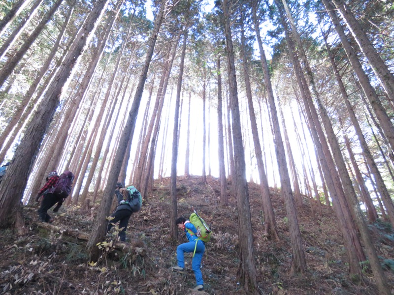 戸倉・城山