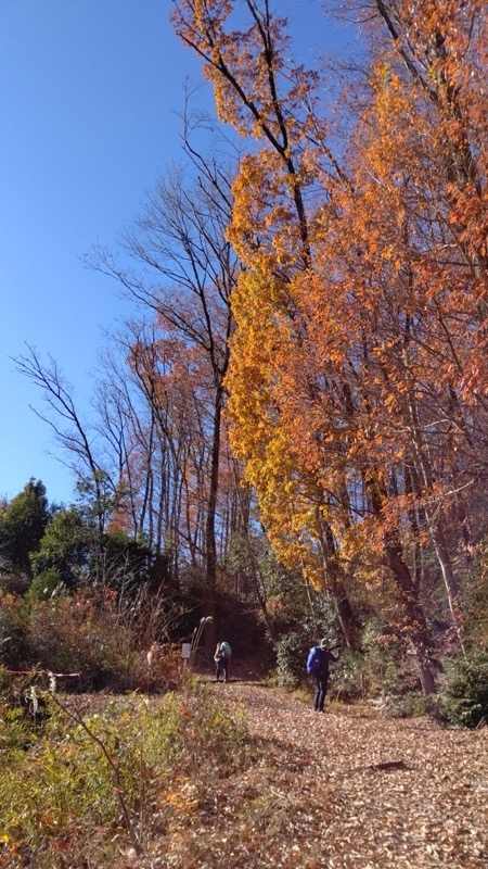 戸倉・城山