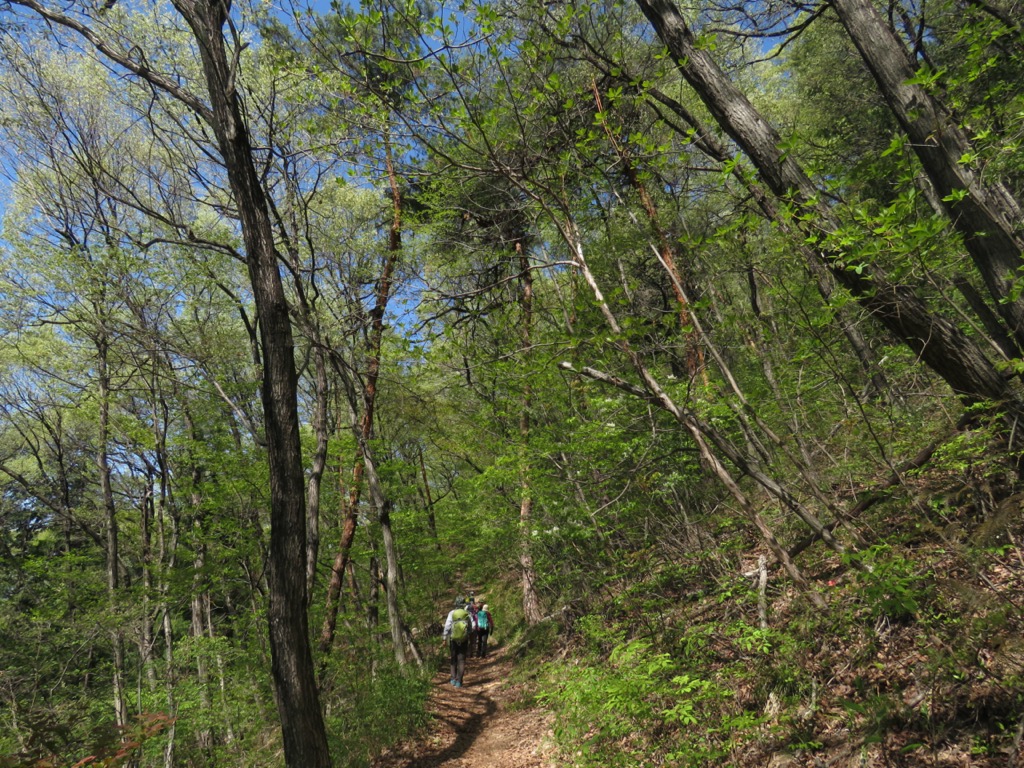 塩ノ山