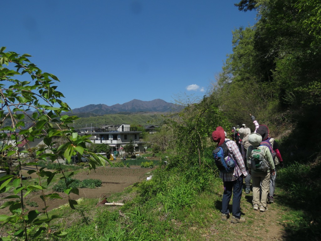 塩ノ山