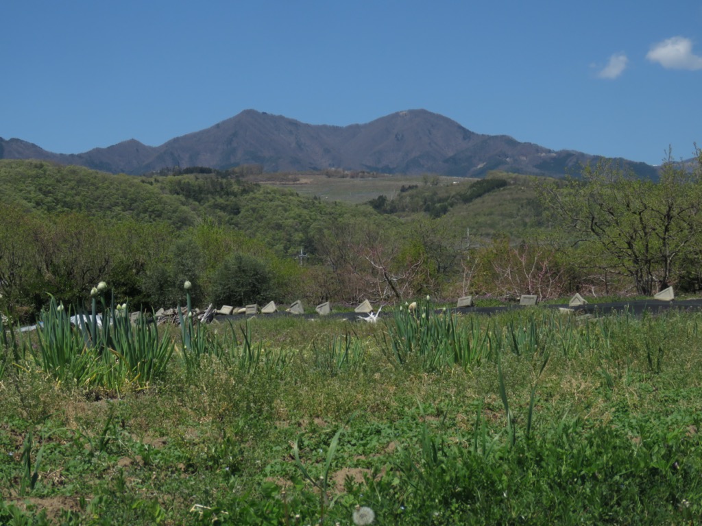 塩ノ山