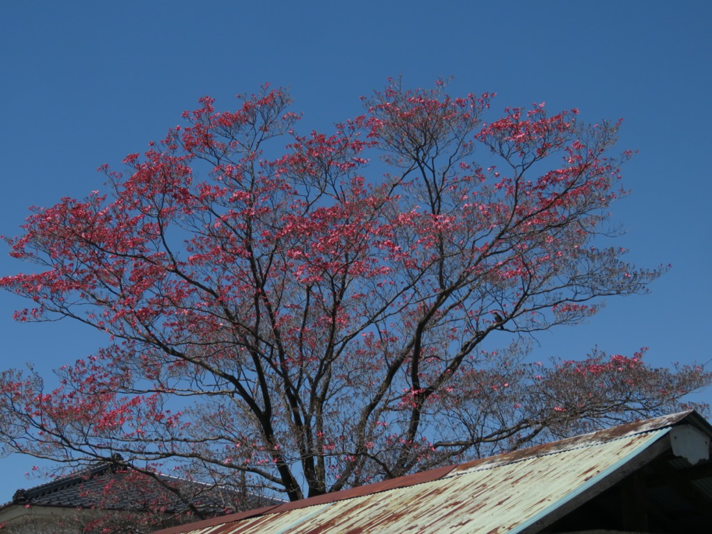 塩ノ山