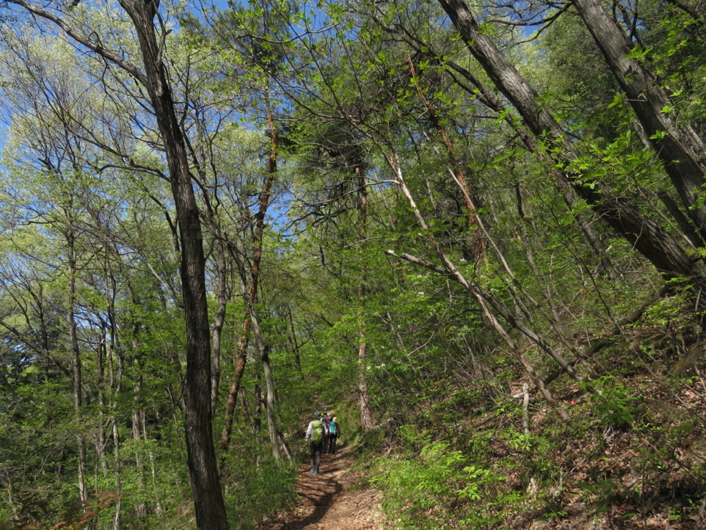 塩ノ山、遊歩道